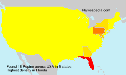 Surname Pepine in USA