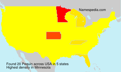 Surname Pequin in USA Surname Pequin in USA