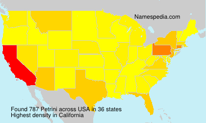 Surname Petrini in USA Surname Petrini in USA