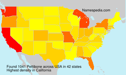 Pettibone Pettibone