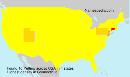 Surname Pettino in USA