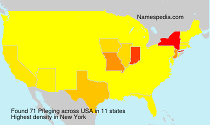 Surname Pfleging in USA Surname Pfleging in USA