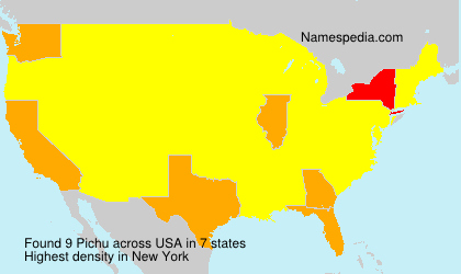 Surname Pichu in USA Surname Pichu in USA