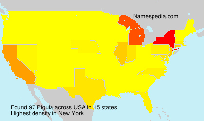 Surname Pigula in USA Surname Pigula in USA