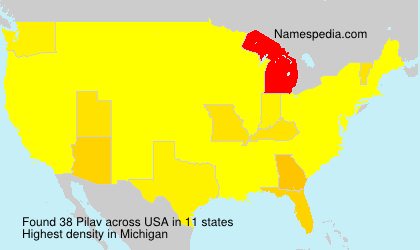 Surname Pilav in USA Surname Pilav in USA