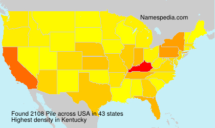 Surname Pile in USA Surname Pile in USA