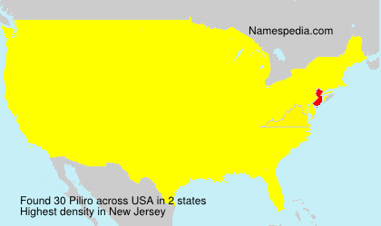 Surname Piliro in USA Surname Piliro in USA