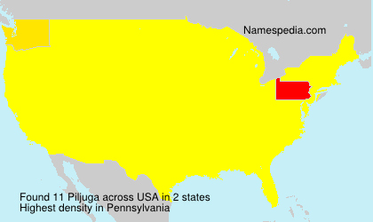 Surname Piljuga in USA Surname Piljuga in USA