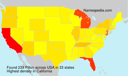Surname Pillon in USA Surname Pillon in USA