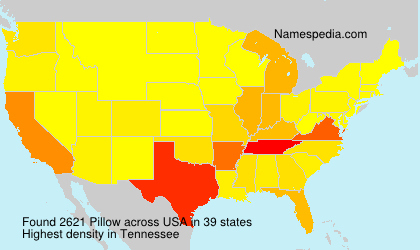 Surname Pillow in USA Surname Pillow in USA