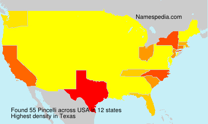 Surname Pincelli in USA Surname Pincelli in USA
