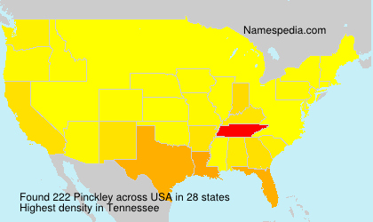 Surname Pinckley in USA