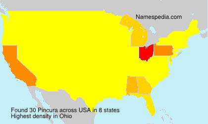 Surname Pincura in USA Surname Pincura in USA