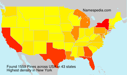 Surname Pines in USA Surname Pines in USA