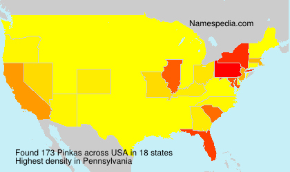 Surname Pinkas in USA Surname Pinkas in USA