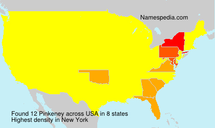 Surname Pinkeney in USA Surname Pinkeney in USA