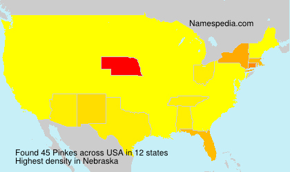 Surname Pinkes in USA Surname Pinkes in USA