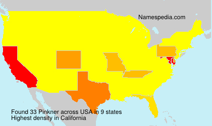 Surname Pinkner in USA