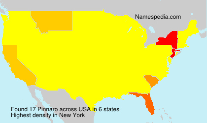 Surname Pinnaro in USA Surname Pinnaro in USA