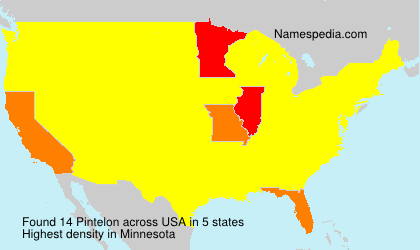 Surname Pintelon in USA Surname Pintelon in USA