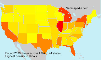 Surname Pinter in USA Surname Pinter in USA