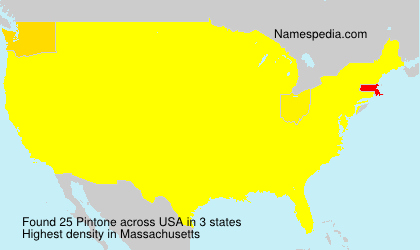 Surname Pintone in USA Surname Pintone in USA