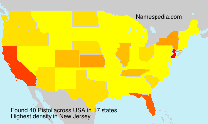 Surname Pistol in USA Surname Pistol in USA