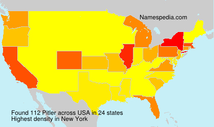 Surname Pitler in USA Surname Pitler in USA