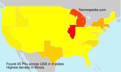 Surname Pitu in USA Surname Pitu in USA