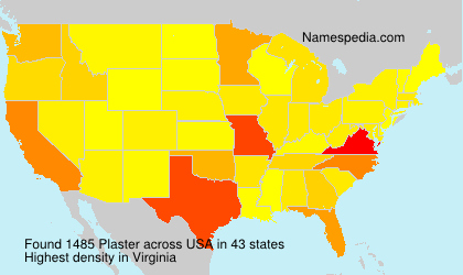 Surname Plaster in USA Surname Plaster in USA