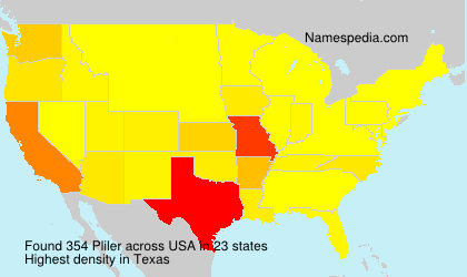 Surname Pliler in USA Surname Pliler in USA