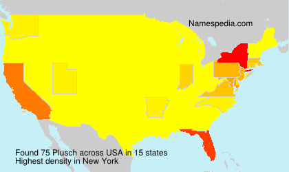 Surname Plusch in USA Surname Plusch in USA