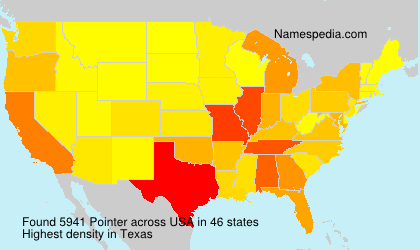 Surname Pointer in USA Surname Pointer in USA