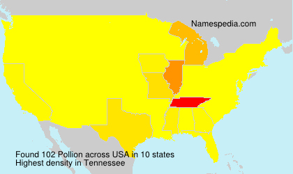 Surname Pollion in USA