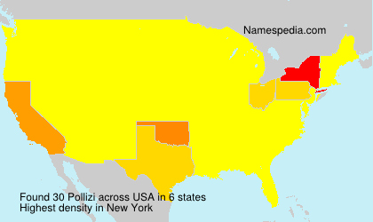 Surname Pollizi in USA Surname Pollizi in USA
