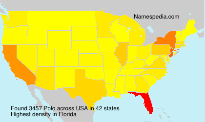 Surname Polo in USA Surname Polo in USA