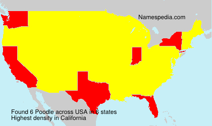 Surname Poodle in USA Surname Poodle in USA