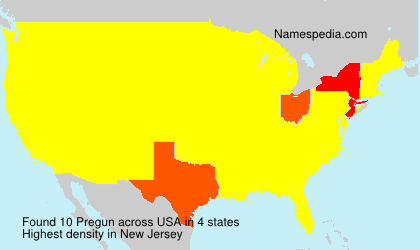 Surname Pregun in USA Surname Pregun in USA