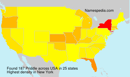 Surname Priddle in USA Surname Priddle in USA
