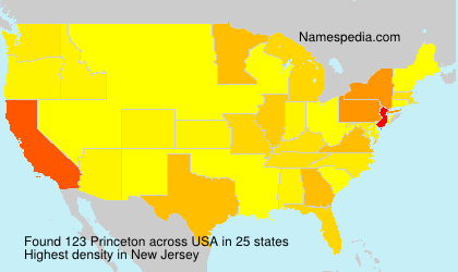 Surname Princeton in USA Surname Princeton in USA
