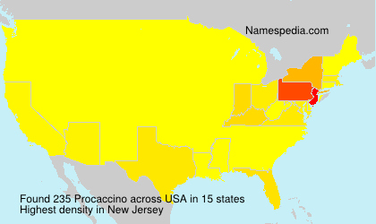 Surname Procaccino in USA Surname Procaccino in USA