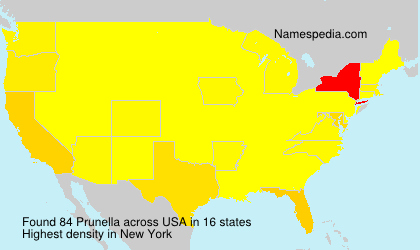 Surname Prunella in USA Surname Prunella in USA