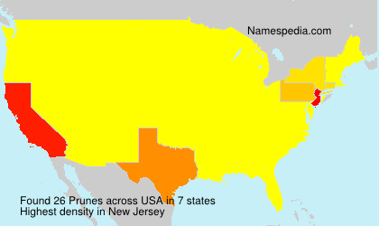 Surname Prunes in USA Surname Prunes in USA