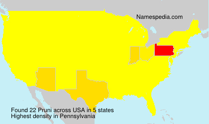 Surname Pruni in USA Surname Pruni in USA