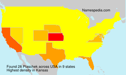 Surname Ptaschek in USA Surname Ptaschek in USA