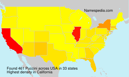 Surname Puccini in USA