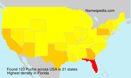 Surname Puche in USA