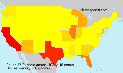 Surname Pucheta in USA Surname Pucheta in USA
