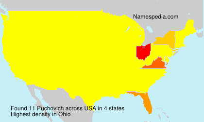 Puchovich Puchovich