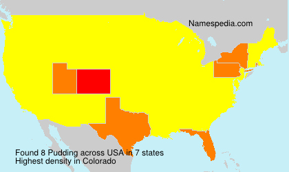 Surname Pudding in USA Surname Pudding in USA